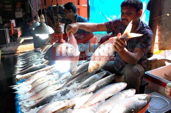 India-Bangladesh to extend fisheries pact : Tripura to benefit from Hilsa imports, Hilsa prices skyrocket across Tripura to Rs 2000 per kilo on Bengali new year India-Bangladesh to extend fisheries pact : Tripura to benefit from Hilsa imports, Hilsa prices skyrocket across Tripura to Rs 2000 per kilo on Bengali new year